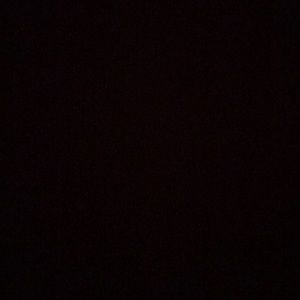 Meet your Posher, Jaelynn